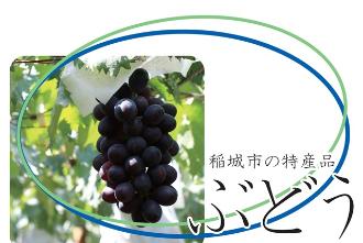 Access to Inagi City's special product "Grapes"