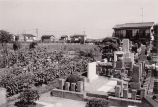 Image Koko's face on the west side of the Oshidate Cemetery