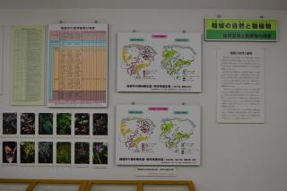 Exhibits of Inagi's nature, flora and fauna