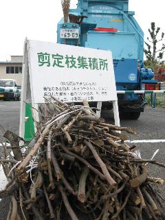Image Photo of the pruned branch collection site
