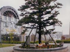 Image i Plaza Fureai Road Circular Flowerbed