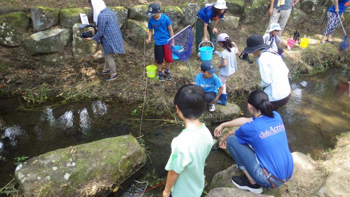 Photos crayfish extermination