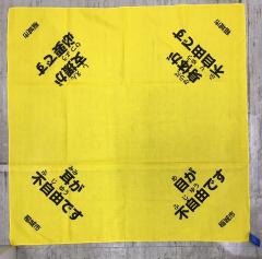 Image Bandana for disaster support