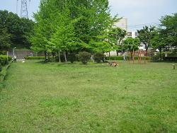 Image of the park 1