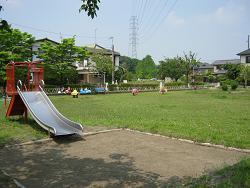 Image of the park 2