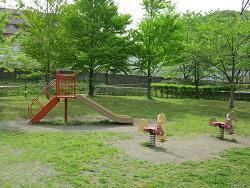 image slide spring playground equipment