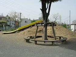 Image of the park