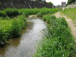 Image Misawa River 1