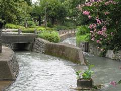 Image of the junction of Daimaru canal and Shinbori