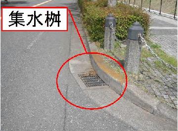 Image Relation of catch basin