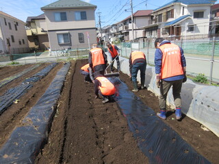 Creating mulched ridges