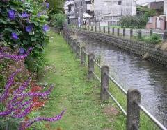 Daimaru Canal Pictures