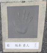 Image Player's Handprint