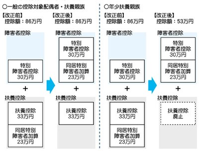 Image Outline of deduction for persons with special disabilities living together