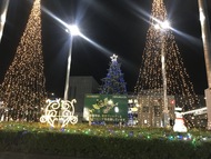 Photo Wakabadai Illumination 2023