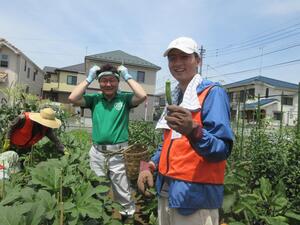 Okra image