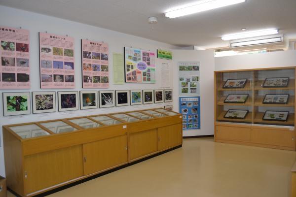 Foto: Vista de la sala de exhibición de muestras