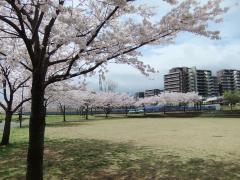 Foto: Vista de primavera