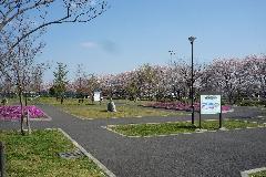 Foto: Estado del Parque Verde del Norte de Inagi