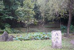 Foto: Cerca del Jardín de Plantas Silvestres