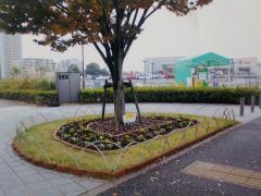 Foto: Jardín en el paso peatonal hacia Unidy desde el Bosque de Wakabadai Waltz