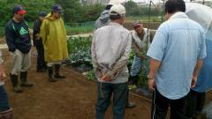 Foto: Granja de Experiencia Agrícola 2