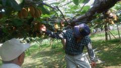 Foto: Experiencia agrícola en la granja 1