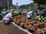 Foto: Movimiento de muchas flores 2