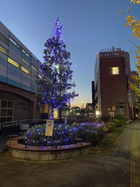 Foto: Iluminación en el área verde frente a la Estación Yanokuchi, salida norte 1