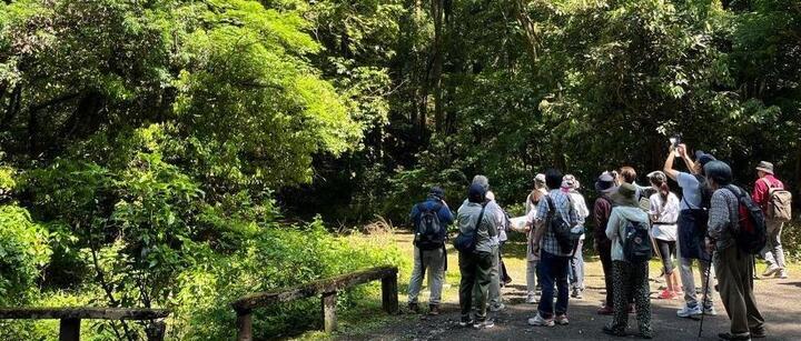 Foto: Aspecto del paseo de otoño en la instalación de apoyo de servicios de Tama