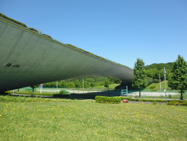 Imagen Cielo Azul y Puente Ballena