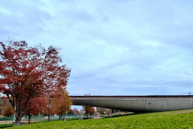 imagen puente kujira otoño