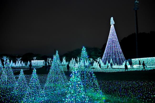 Imagen Bosque de la Luz