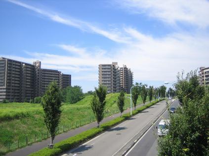 imagen colina verde ciudad