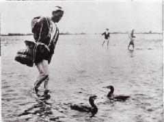 Imagen de la pesca con cormoranes en el río Tama