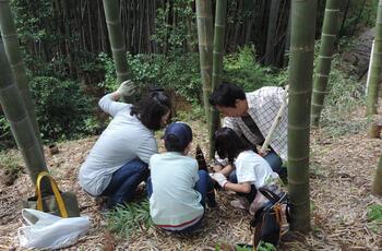 Experiencia de excavación de brotes de bambú.