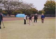 Imagen Estado del terreno de golf