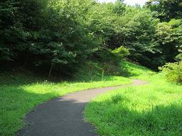 Imagen Sendero para caminar