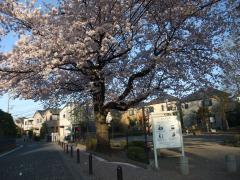 Imagen Vista al parque 1