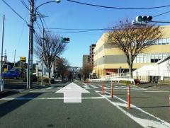 Desde la estación Inagi hasta la autopista Tsurukawa