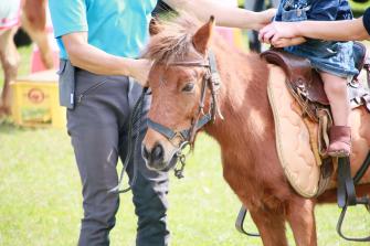 Foto experiencia de montar en pony