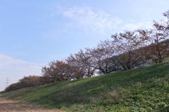 이미지 타마가와의 기슭에서 본 가을 하늘