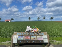 Foto: Vista distante da Colina das Fábulas