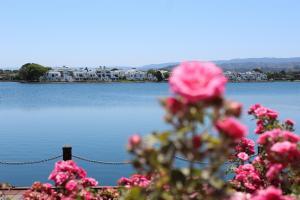 Foto: A bela orla da cidade de Foster City 1