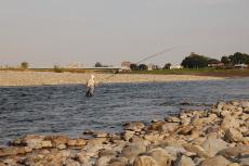 Imagem Ayu pescando no rio Tama