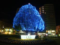 Image Iluminação da árvore de cânfora em frente à Estação Inagi