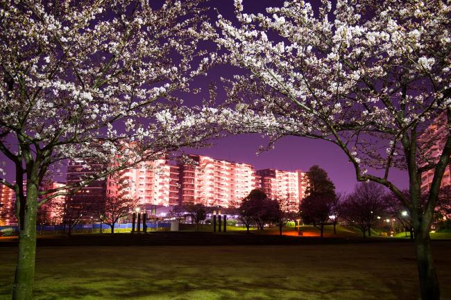 Imagem no Parque Wakabadai