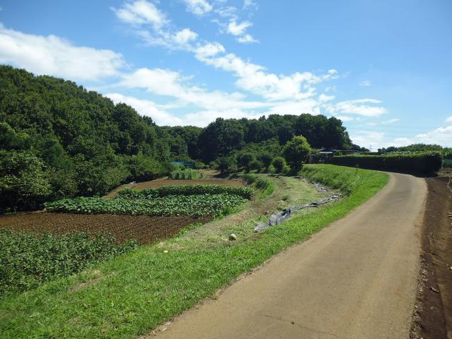 imagem estrada secundária