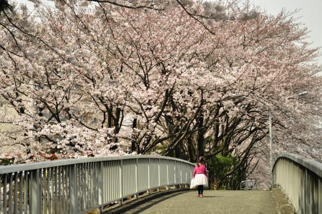 Imagem Caminhada da Primavera