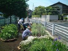 fotografia